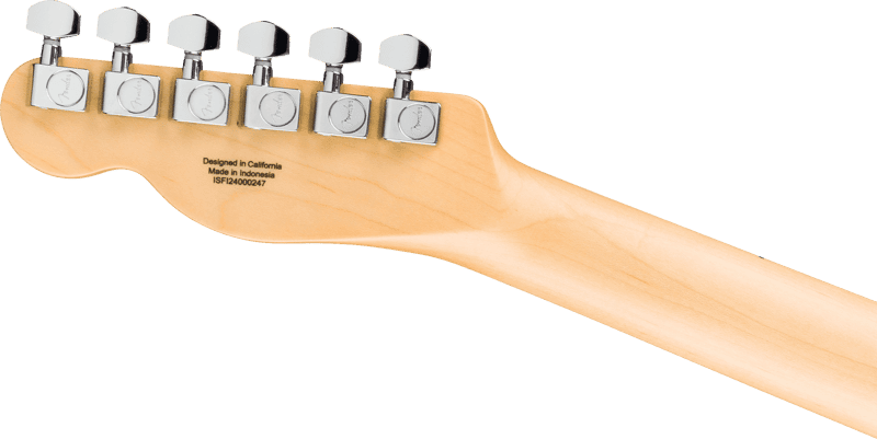 FENDER 0266021550 Standard Series Telecaster Electric Guitar ( Butterscotch Blonde ) - Ray's Midbell Music