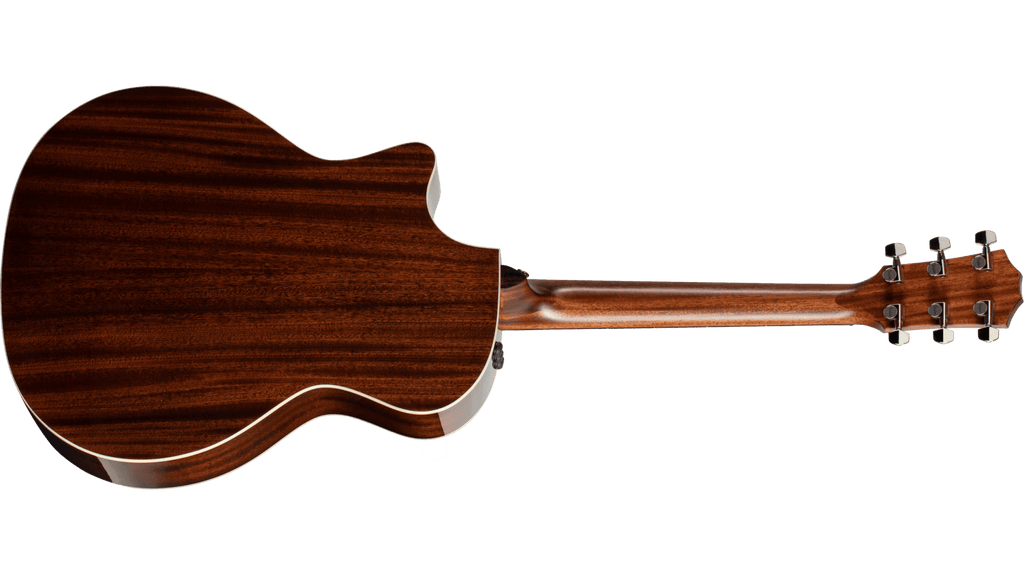 Taylor 314CE Grand Auditorium Acoustic/Electric Guitar - Ray's Midbell Music