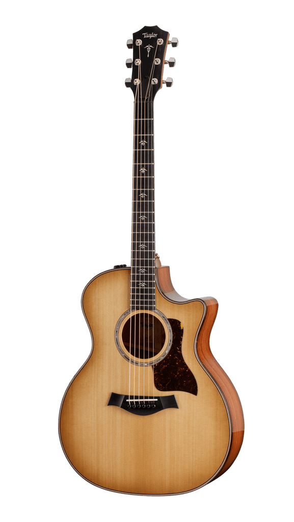 Taylor 514ce Grand Auditorium Acoustic/Electric Guitar - Ray's Midbell Music