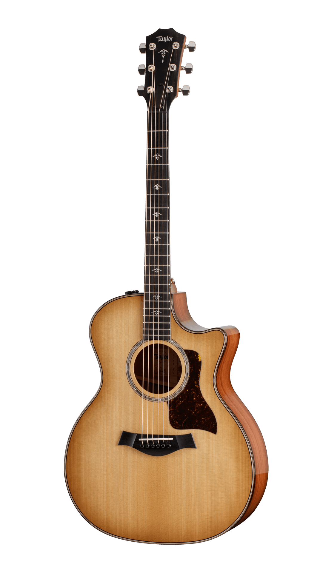 Taylor 514ce Grand Auditorium Acoustic/Electric Guitar - Ray's Midbell Music