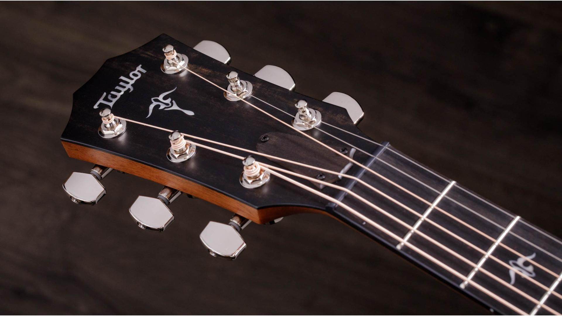 Taylor 514ce Grand Auditorium Acoustic/Electric Guitar - Ray's Midbell Music