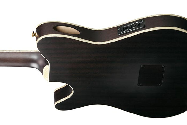Ibanez TOD10N TIm Henson Signature Nylon A/E Guitar - Ray