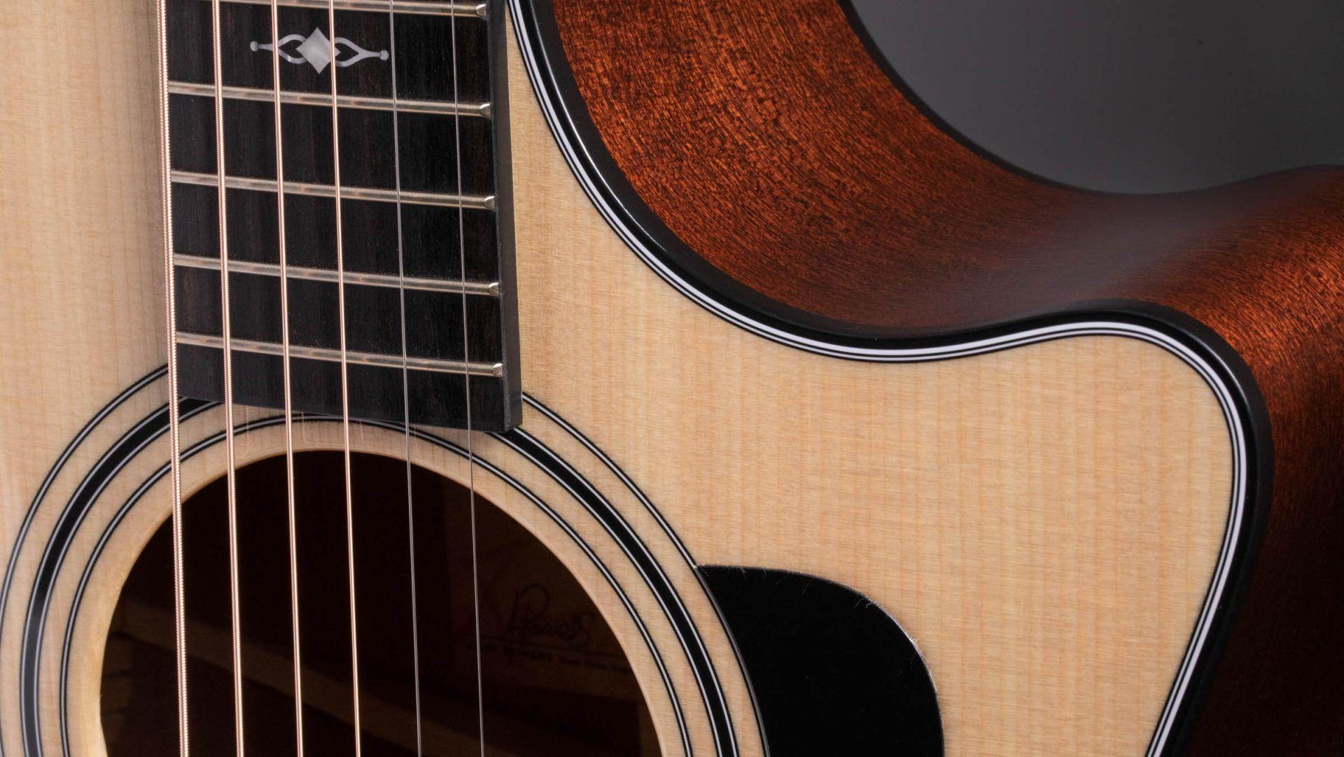 Taylor 314CE Grand Auditorium Acoustic/Electric Guitar - Ray's Midbell Music