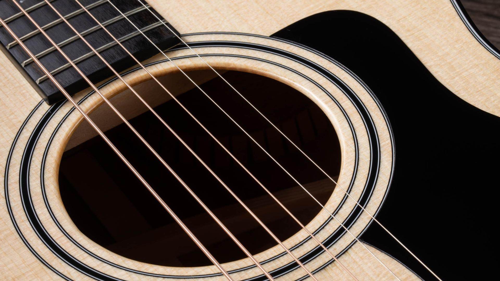 Taylor 314CE Grand Auditorium Acoustic/Electric Guitar - Ray's Midbell Music