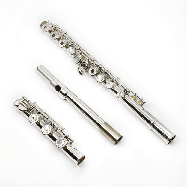 Di Zhao DZ470BEF Sliver Plated Flute (Solid Sterling Silver Headjoint)