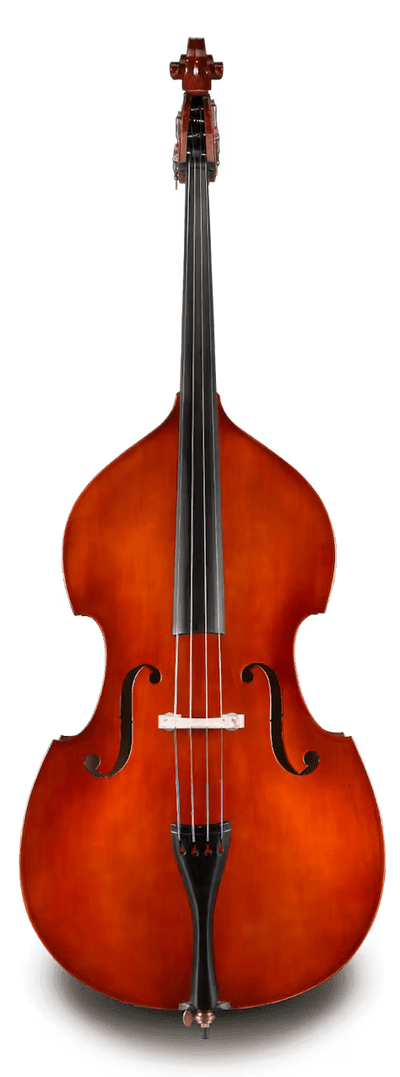 Double Basses