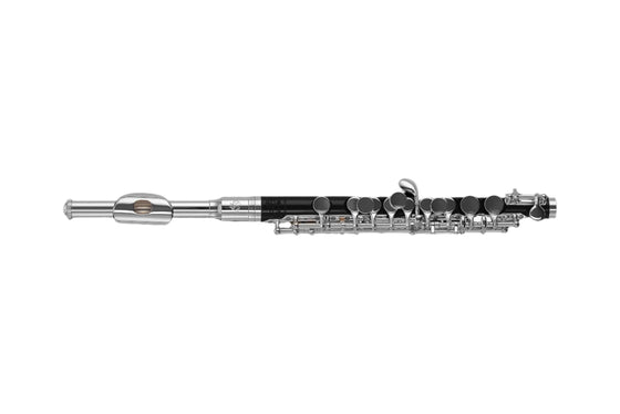 Di Zhao DZP101 ABS Plastic Piccolo, Silver Plated Headjoint, Black ABS Body