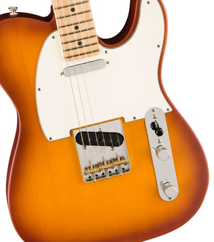 FENDER 0171042742 Limited Edition American Performer Timber Telecaster Electric Guitar (Honey Burst) - Ray's Midbell Music
