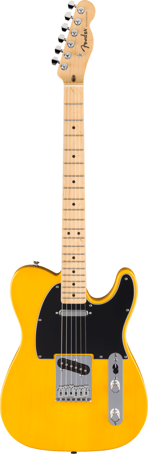 FENDER 0266021550 Standard Series Telecaster Electric Guitar ( Butterscotch Blonde ) - Ray's Midbell Music