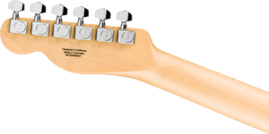 FENDER 0266021550 Standard Series Telecaster Electric Guitar ( Butterscotch Blonde ) - Ray's Midbell Music