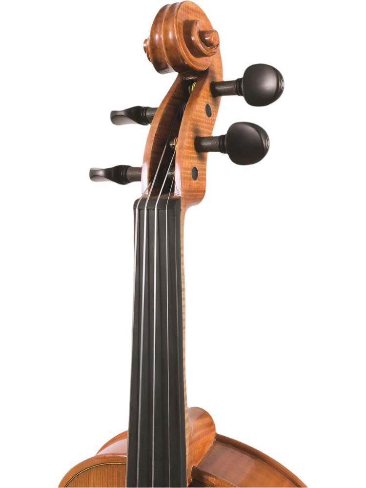 MAPLE LEAF MLS140VN44 4/4 140 Apprentice Collection Violin Outfit - Ray's Midbell Music