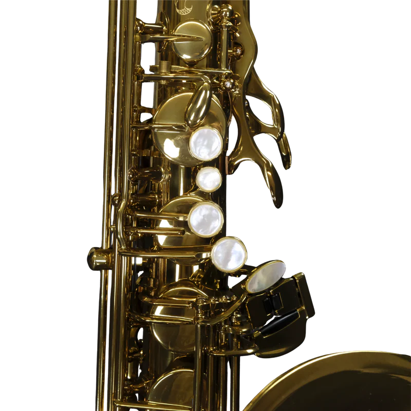SELMER PARIS 84SIGUSA Signature USA NYC Tenor Sax