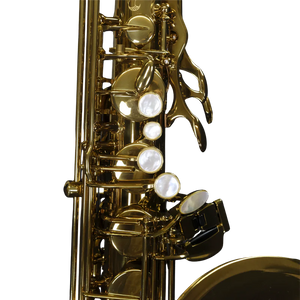 SELMER PARIS 84SIGUSA Signature USA NYC Tenor Sax