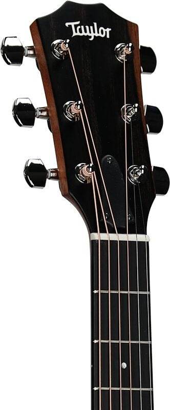 Taylor 314CESTUDIOSE 300 Grand Auditorium Studio Series A/E Guitar (Shaded Edgeburst) - Ray's Midbell Music