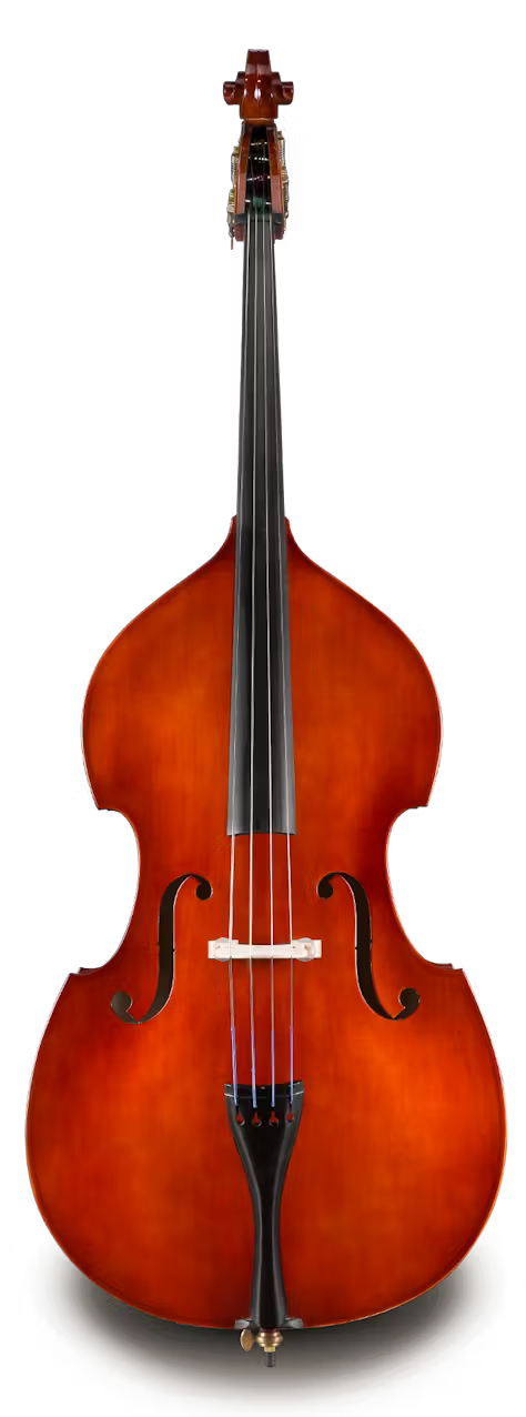 Eastman VB8034SBC 3/4 Bass Outfit w/ Gamba Corners