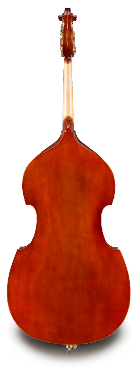 Eastman VB8034SBC 3/4 Bass Outfit w/ Gamba Corners