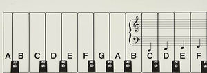 HAL LEONARD Hal Leonard HL00296039 Student Keyboard Guide - Ray's Midbell Music