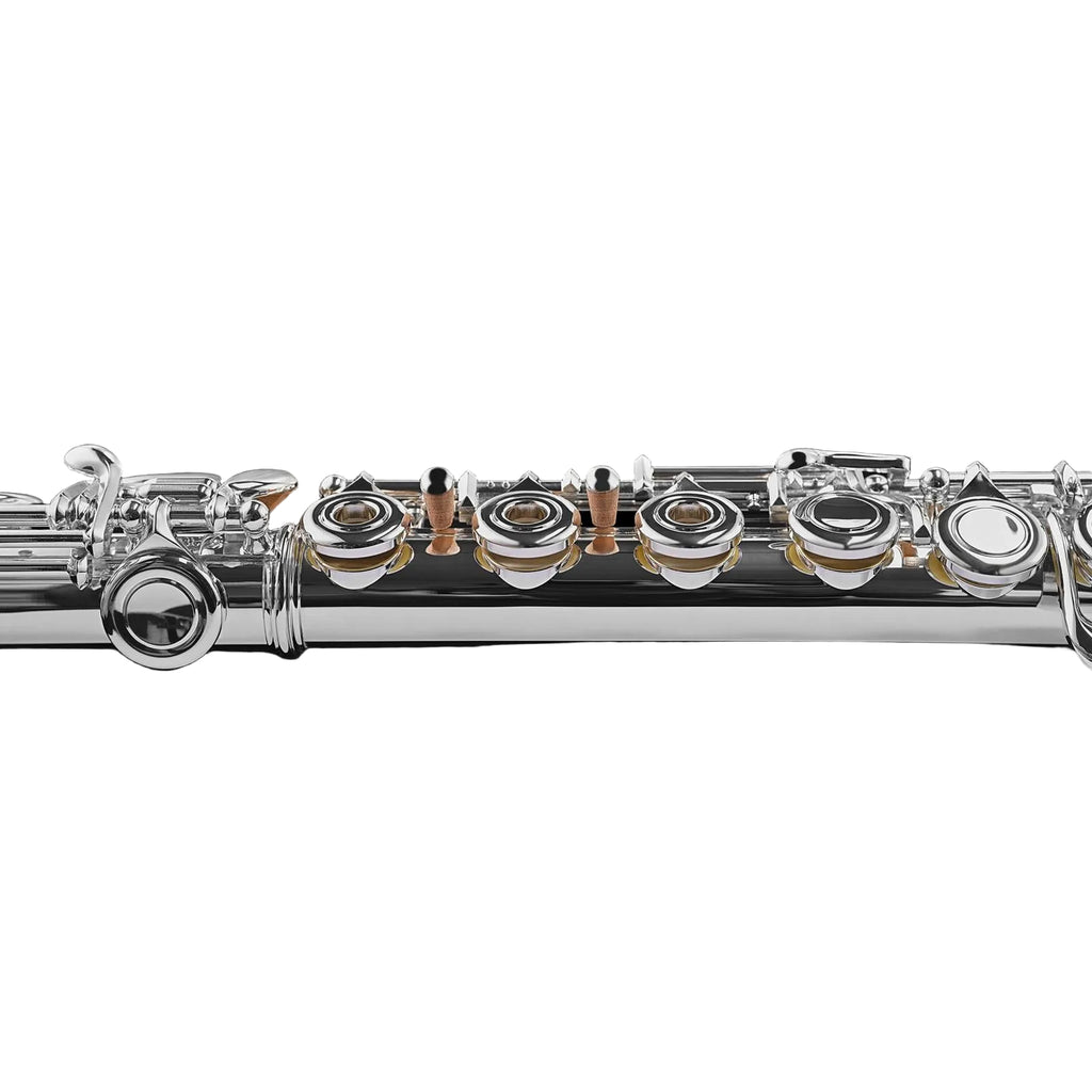 Di Zhao DZ401BEF Step-Up Flute, Open Hole, Silver Plated Headjoint and Body, B Footjoint, Offset G, Split E Mechanism