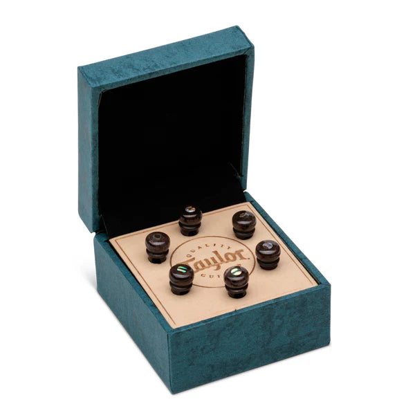 TAYLOR 7260-5 Brown Bone w/ Abalone Bridge Pin Set, 5" Taper