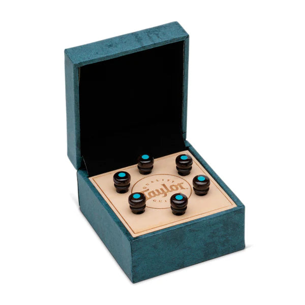 TAYLOR 72608 Brown Bone w/ Turquoise Bridge Pin Set, 5" Taper