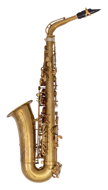 Selmer Paris 82SIGUSA Signature USA NYC Alto Sax