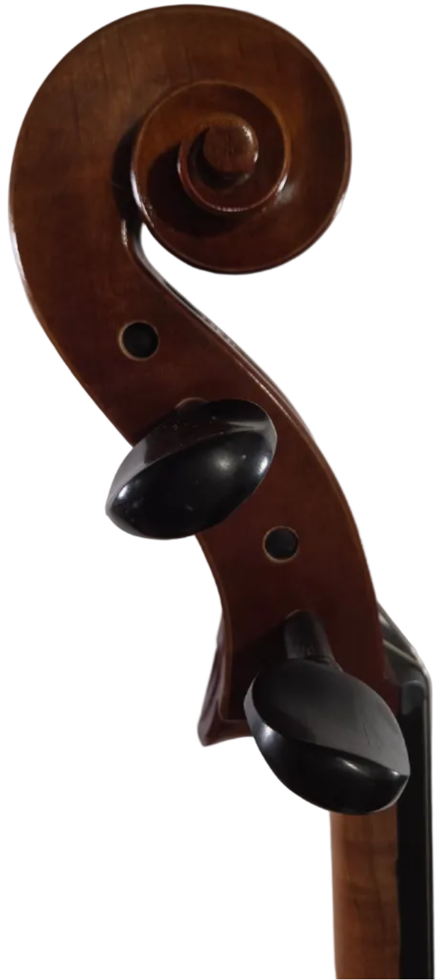 Cedar Music CBCLO44OFT 4/4 Cello with French Bridge, Bow, and Gig Bag