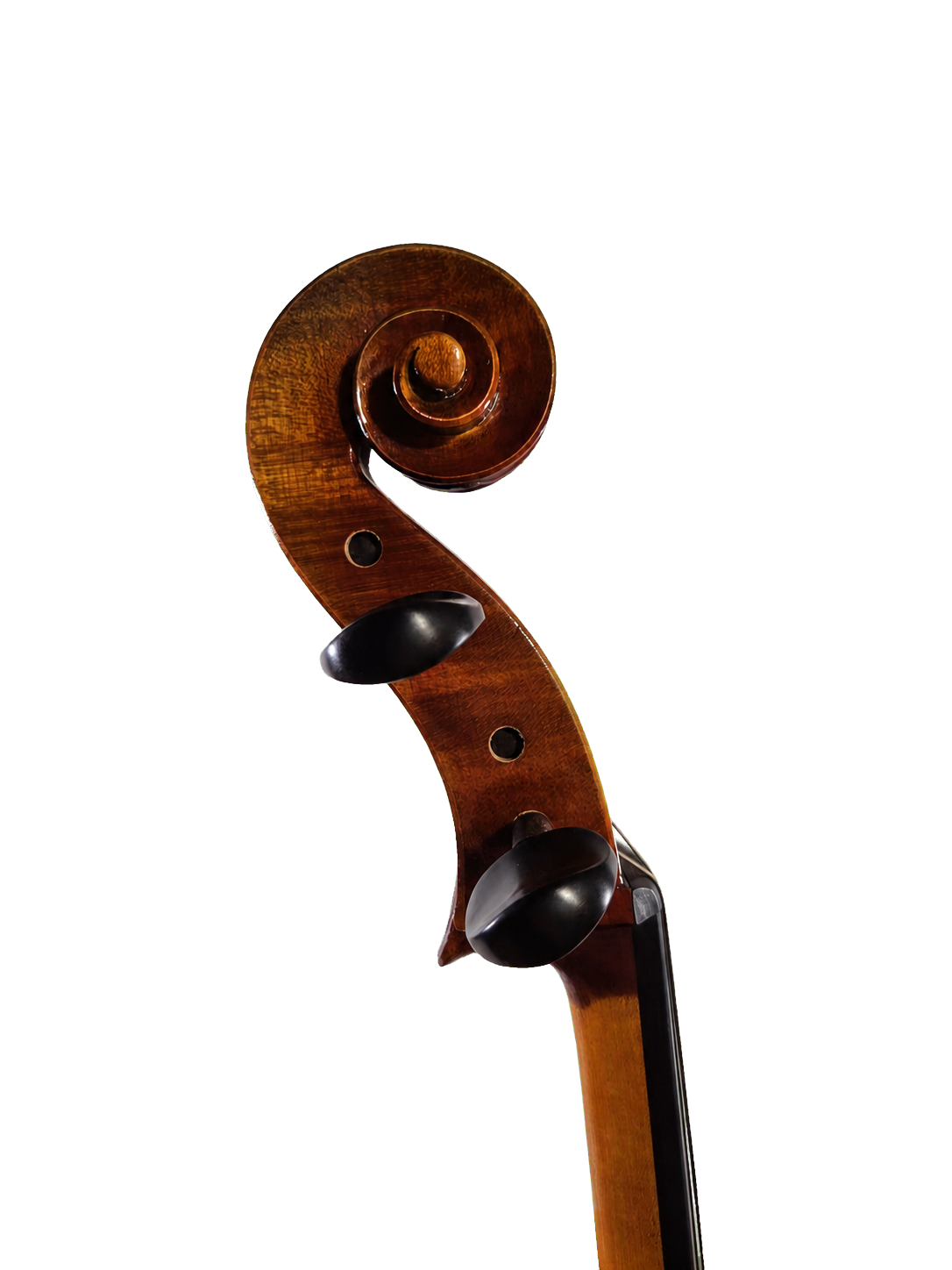 7/8 Cello with French Bridge, Bow, and Gig Bag - CCCLO78OFT