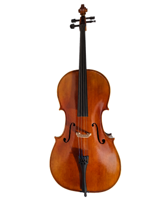 Cedar Music CDCLO44OFT 4/4 Cello with French Bridge, Bow, and Gig Bag