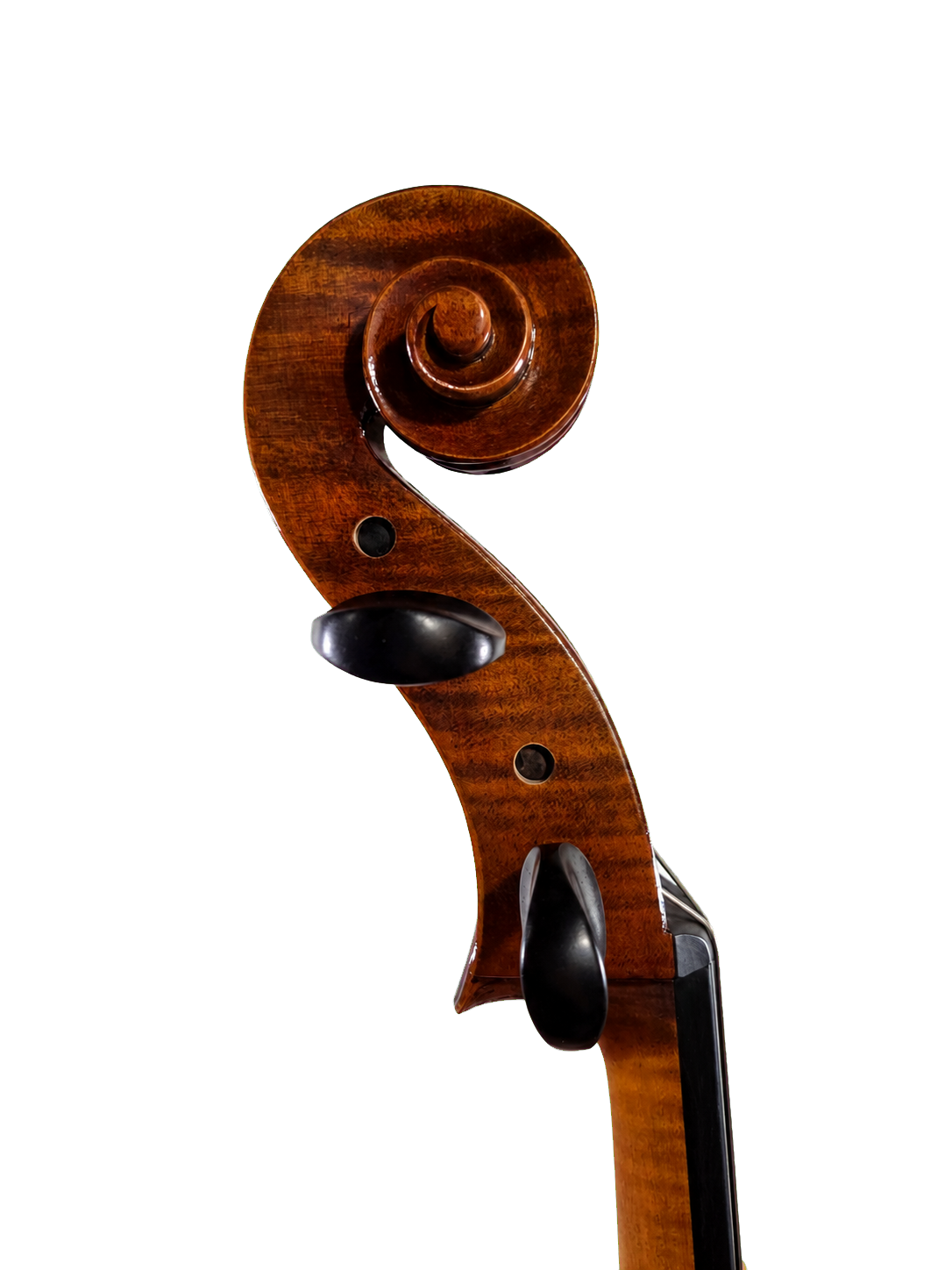 Cedar Music CDCLO44OFT 4/4 Cello with French Bridge, Bow, and Gig Bag