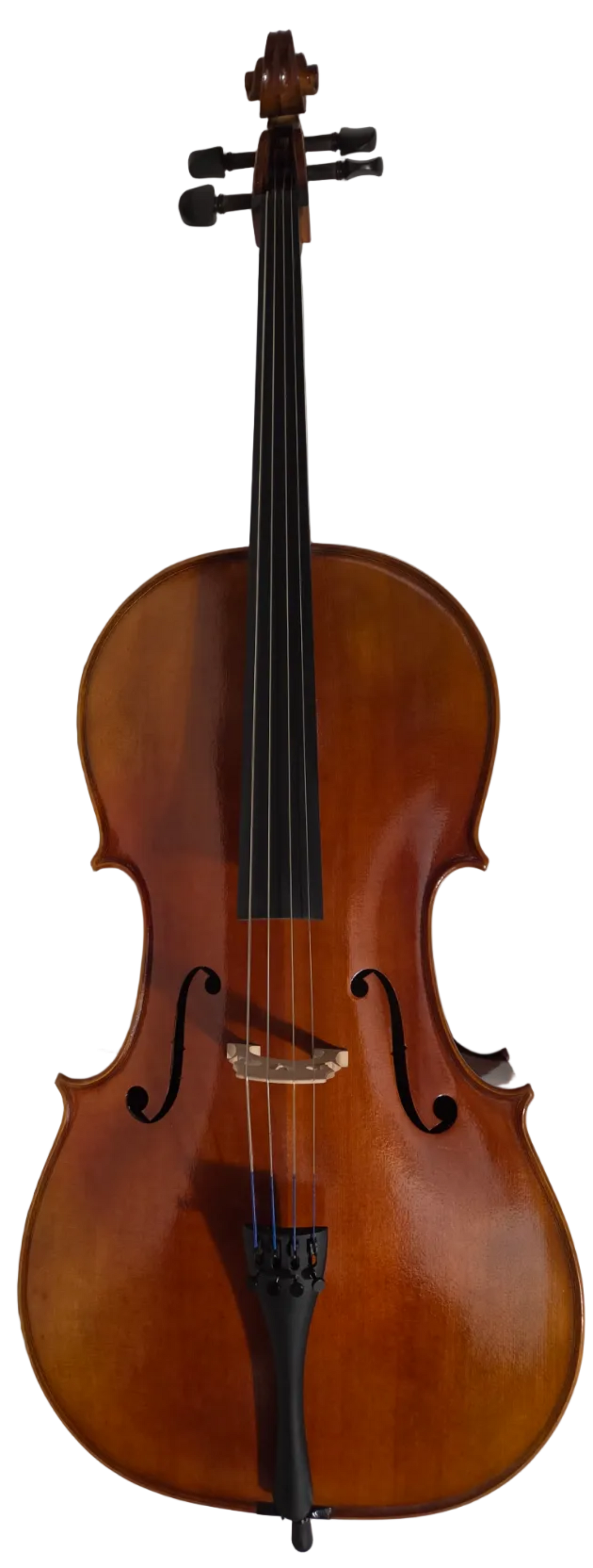 Cedar Music CDCLO44OFT 4/4 Cello with French Bridge, Bow, and Gig Bag
