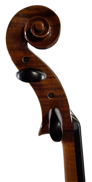 Cedar Music CDCLO44OFT 4/4 Cello with French Bridge, Bow, and Gig Bag