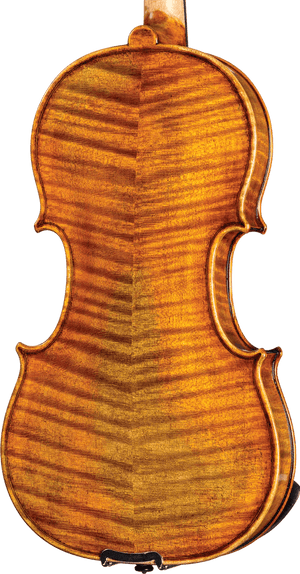 Howard Core DR50VNOFT 4/4 Dragon Series Violin Outfit w/Hard Case and Woven Carbon Fiber Bow - Ray's Midbell Music