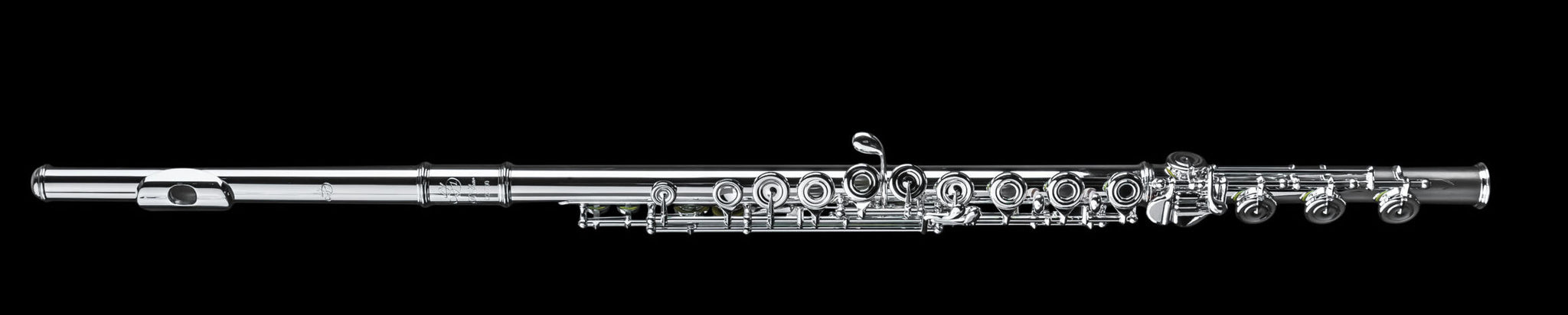 Di Zhao Professional Flute, Split E, C# Trill, D# Roller, 9K GS Lip Plate - DZ801BEFC#D#9KGS