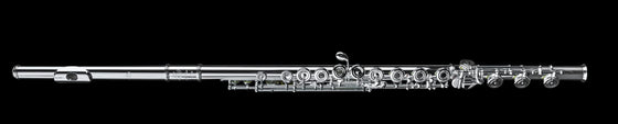 Di Zhao Professional Flute, Split E, C# Trill, D# Roller, 9K GS Lip Plate - DZ801BEFC#D#9KGS