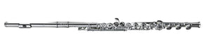 Di Zhao DZ801BEFC#D#10KGR Professional Flute, Split E, C# Trill, D# Roller, 10K Gold Riser - Ray's Midbell Music