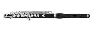 Di Zhao DZP102 Composite Body Piccolo