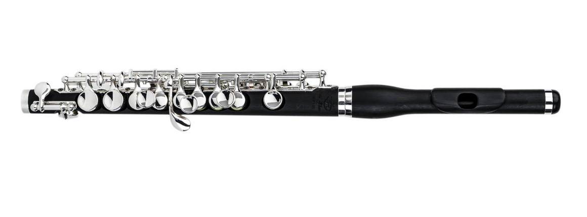Di Zhao DZP102 Composite Body Piccolo
