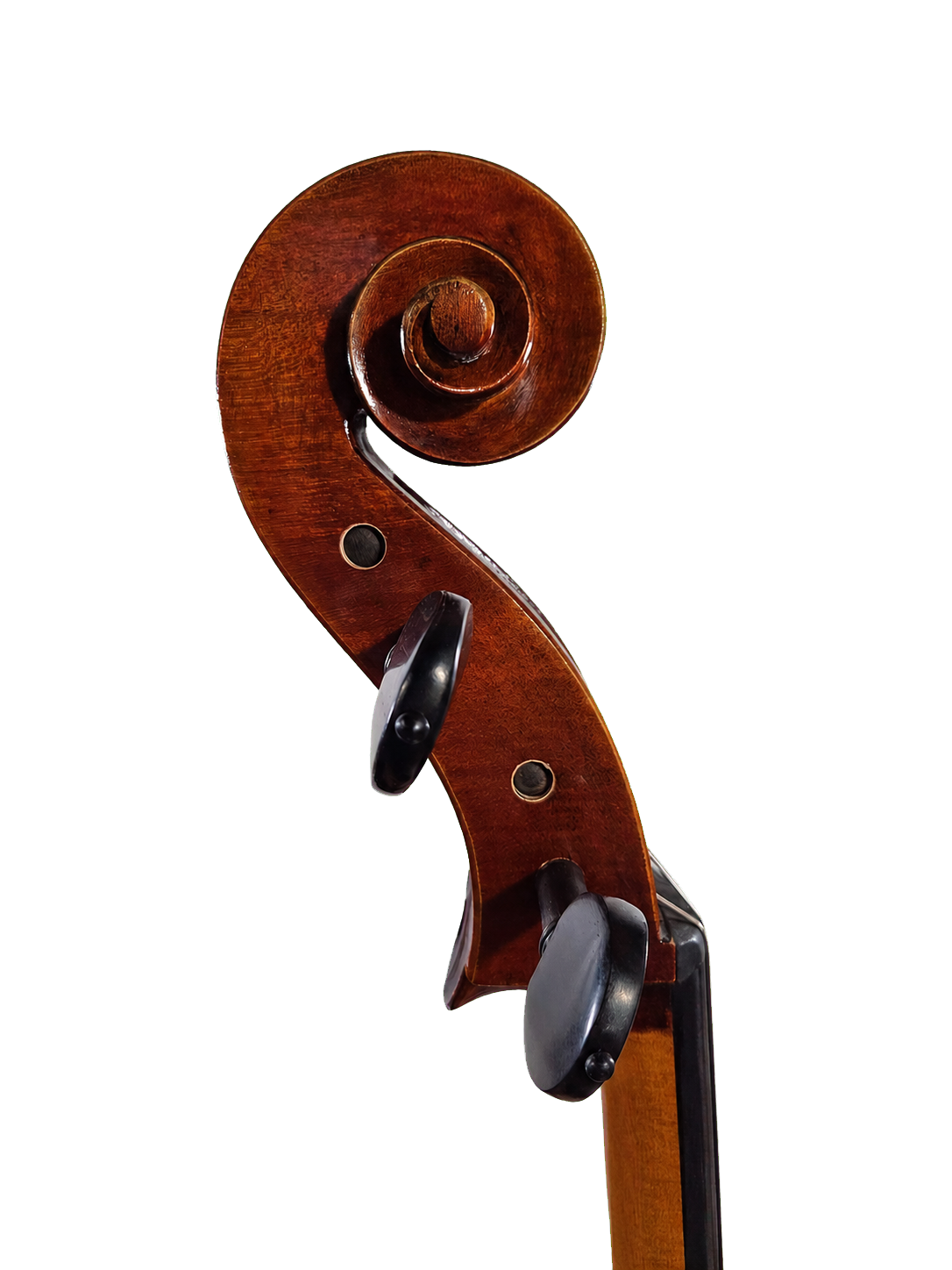 Cedar Music EACLO44OFTC1 4/4 Cello with European Wood, French Bridge, Copper Wrapped Carbon Fiber Bow, Hardshell Case