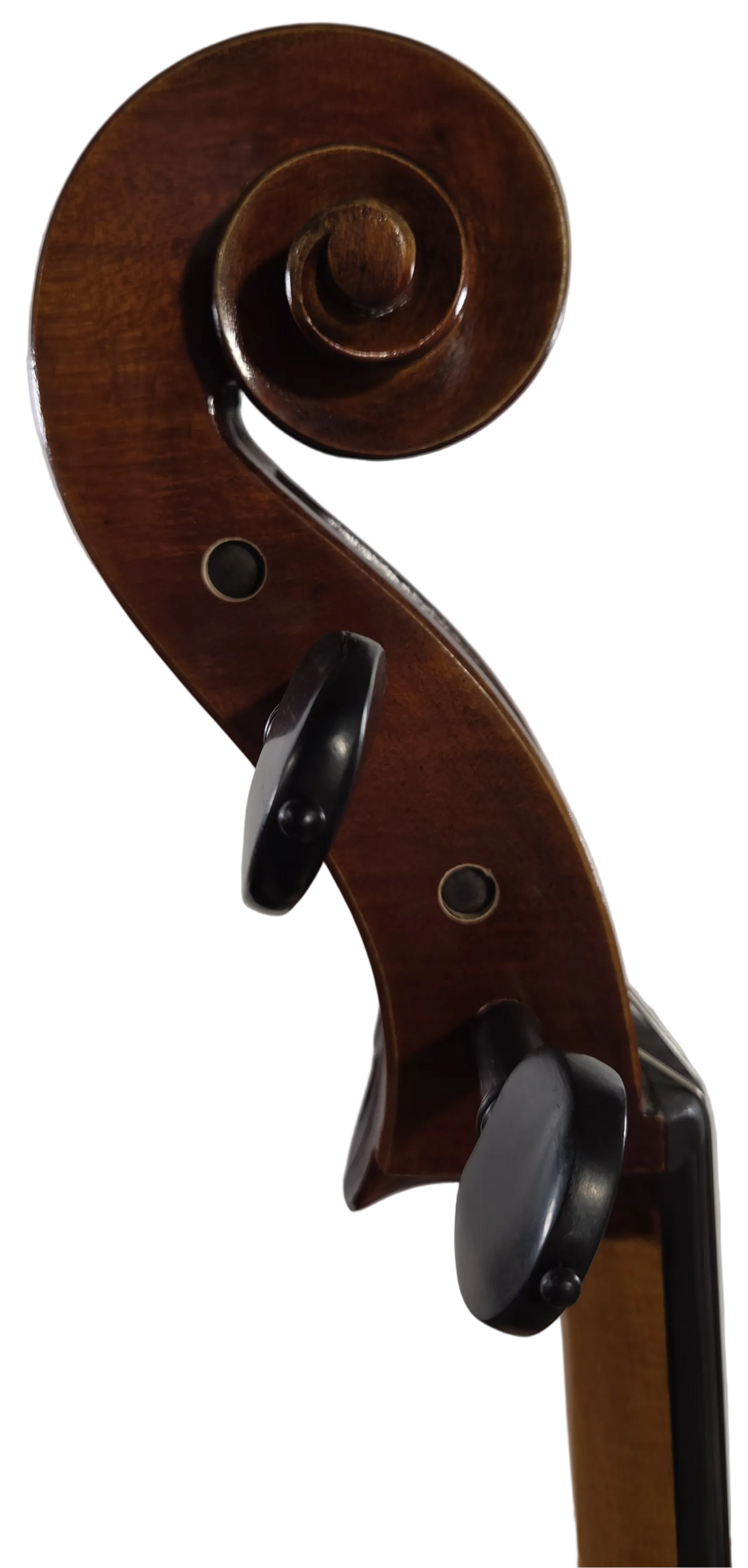 Cedar Music EACLO44OFTC1 4/4 Cello with European Wood, French Bridge, Copper Wrapped Carbon Fiber Bow, Hardshell Case