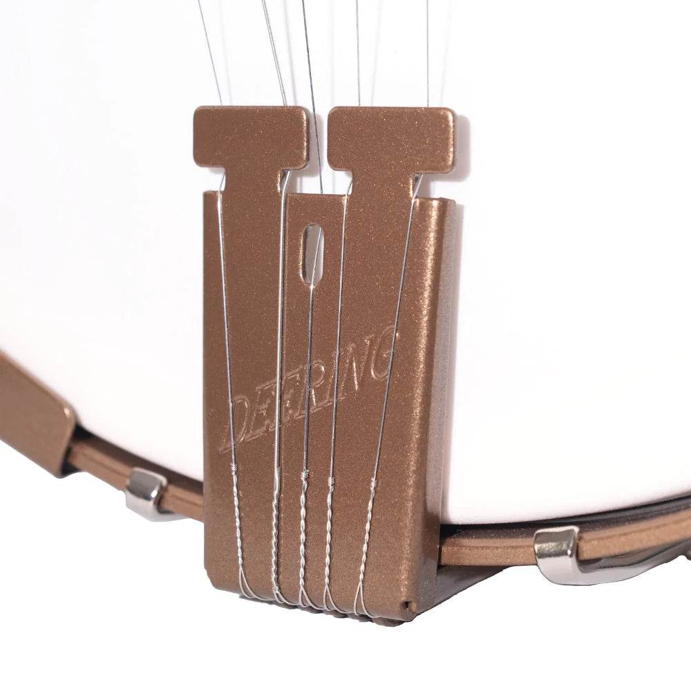 Deering DG Goodtime Deco 5-String Openback Banjo - Ray's Midbell Music