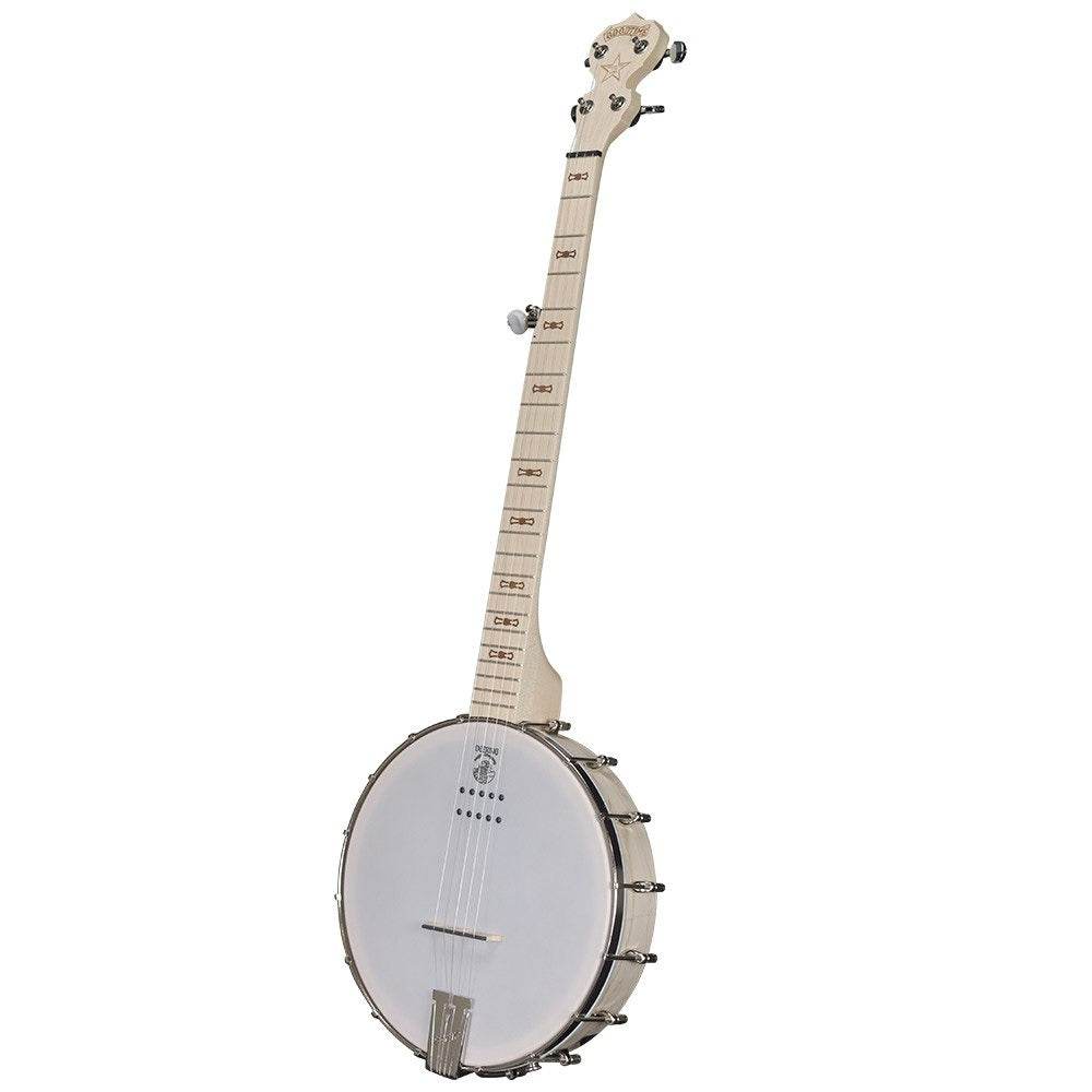 Deering GAE Goodtime Openback Acoustic/Electric Banjo w/ Kavanjo - Ray's Midbell Music