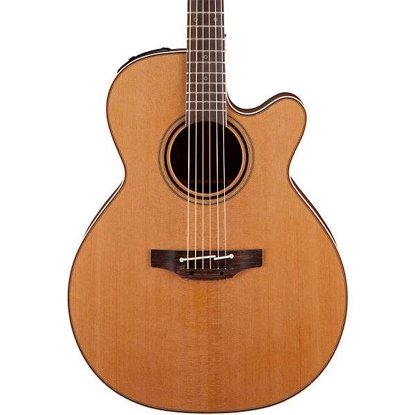 Takamine JTAKTSF40C Professional NEX Acoustic/Electric Guitar w/ Case - Ray's Midbell Music