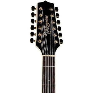 Takamine TAKGD37CE12PW G Series 12 String Dread A/E Guitar (Pearl White) - Ray's Midbell Music