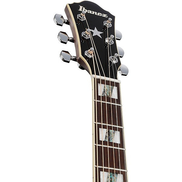 IBANEZ AEGA250 AEG Series US 250th Ann. Acoustic Electric Guitar (America 250 Finish)