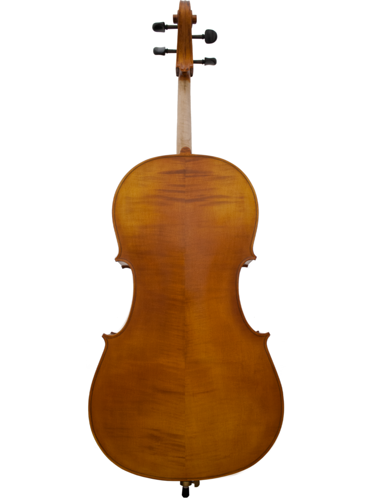 MAPLE LEAF MLS130C44 4/4 Apprentice Collection Cello Outfit