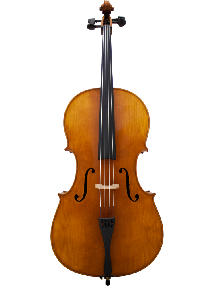 MAPLE LEAF MLS130C44 4/4 Apprentice Collection Cello Outfit