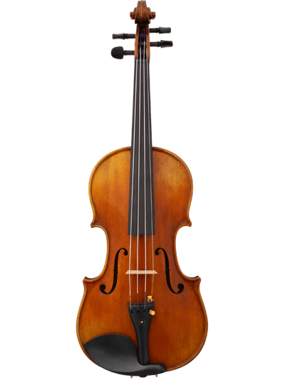 Maple Leaf MLS1350VN44 4/4 Artisan Collection Lady Claire Violin Outfit w/ Soft Case & Carbon Fiber Composite Bow - Ray's Midbell Music