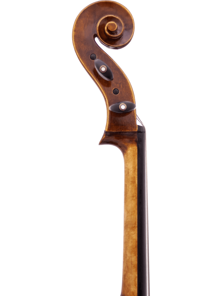 Maple Leaf MLS500C44 4/4 Craftsman Collection Chaconne Cello w/ Soft Case & Carbon Fiber Composite Bow - Ray's Midbell Music