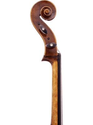 Maple Leaf MLS500C44 4/4 Craftsman Collection Chaconne Cello w/ Soft Case & Carbon Fiber Composite Bow - Ray's Midbell Music