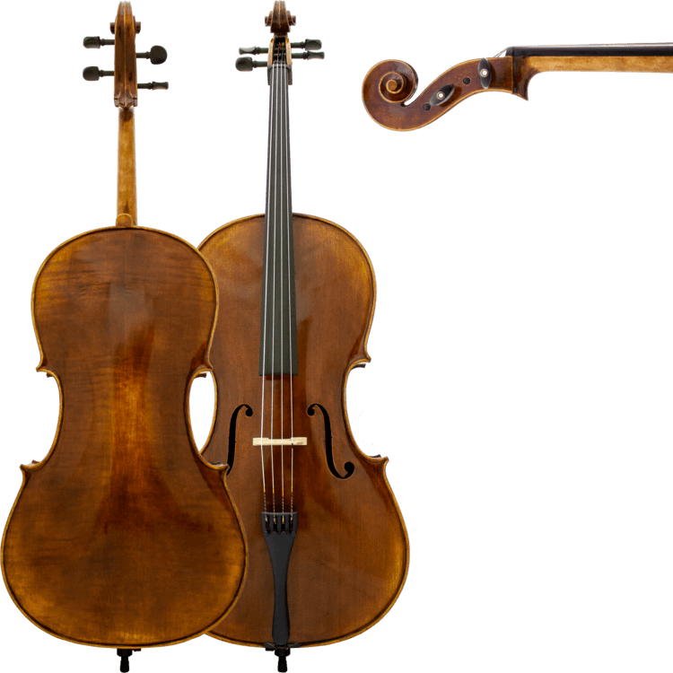 Maple Leaf MLS500C44 4/4 Craftsman Collection Chaconne Cello w/ Soft Case & Carbon Fiber Composite Bow - Ray's Midbell Music